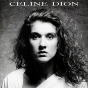 I Feel Too Much by Céline Dion