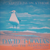 Who Is It? by David Thomas And The Pedestrians