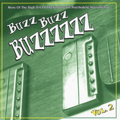 Buzz Buzz Buzzzzzz Vol.2: More of the High Art of the Groovy '60s Psychedelic Instrumental