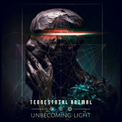 Unbecoming Light