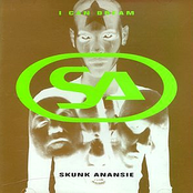 Aesthetic Anarchist by Skunk Anansie