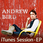 Some Of These Days by Andrew Bird