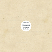 Adult Swim Singles Program 2011