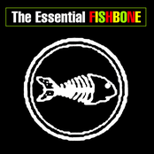 Fishbone: The Essential Fishbone