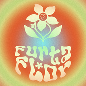 Furta Flor