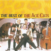 Stundenlang Im Fieber by The Ace Cats