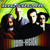 Diggin' A Hole by Big Sugar