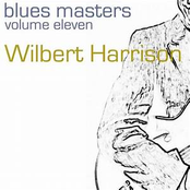 Blues Masters-Vol. 11