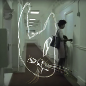 Songs For Cat Food Commercials