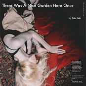 There Was A Nice Garden Here Once