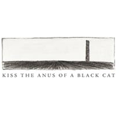Almost, Silver by Kiss The Anus Of A Black Cat