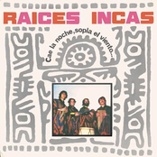 Casarjeta by Raices Incas