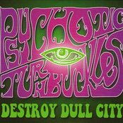 Destroy Dull City by Psychotic Turnbuckles