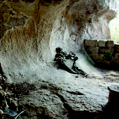 Ritualistic Mutilation in the Bloody Darkness