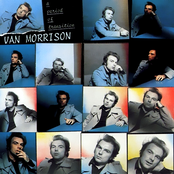 You Gotta Make It Through The World by Van Morrison