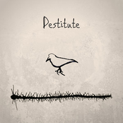 Destitute (Acoustic)