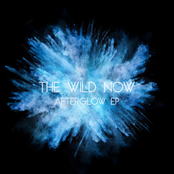 The Wild Now: Afterglow