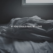 Veaux: If You Could Feel My Love