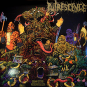 Explosion Of Intestinal Cavity by Putrescence