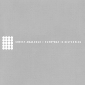 Everyday Is Distortion
