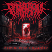 Disfiguring Humanity