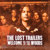 Welcome to the Woods