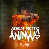 Agem Feito Animais