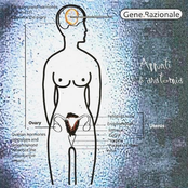 Appunti Di Anatomia