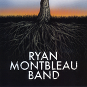 Ryan Montbleau Band: One Fine Color