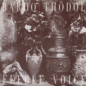Feeble Voice [7"]