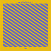 Whatever Brains (2013)