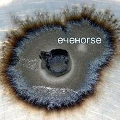 Eyehorse