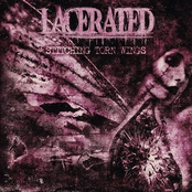 Stitching Torn Wings