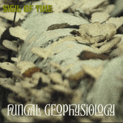 Fungal Geophysiology