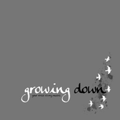 Your Voice Is My Music