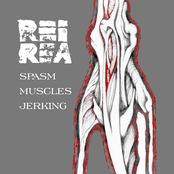 spasm muscles jerking