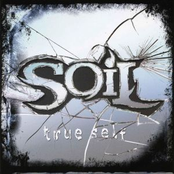 One Last Song by Soil