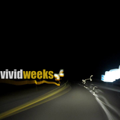 Vivid Weeks Single