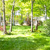 Shoebees/No One Cares (But You and Me) - Single