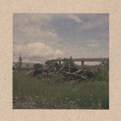 Big Brave: Feral Verdure