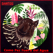 Como Pez Fuera del Agua