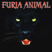 Furia Animal by Furia Animal