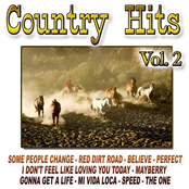 Country Hits Vol.2