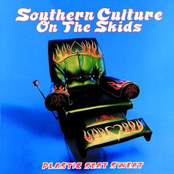 Dance For Me by Southern Culture On The Skids