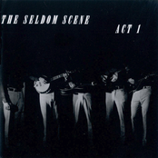 Want Of A Woman by The Seldom Scene