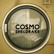 Cosmo Sheldrake