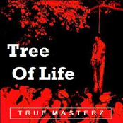Tree Of Life