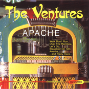 Joy by The Ventures