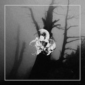 Dove La Luce Non Arriva