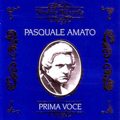 Prima Voce: Amato
